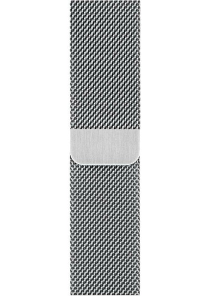 Apple Watch Uyumlu Gümüş Rengi Metal Kordon 42-44 mm Bushco Store fiyatları