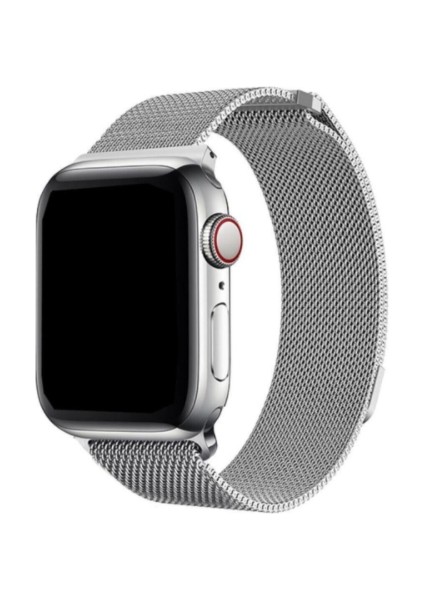 Apple Watch Uyumlu Gümüş Rengi Metal Kordon 38-40 mm Bushco Store