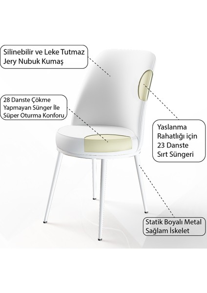 Concept Canisa Dexa Serisi 1.sınıf Yemek ve Mutfak Sandalyesi 6 Adet Ayaklar Beyaz