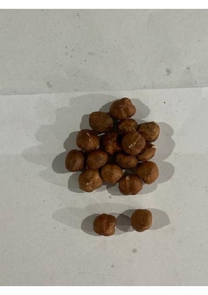 Çiğ Fındık 1 kg fiyatları
