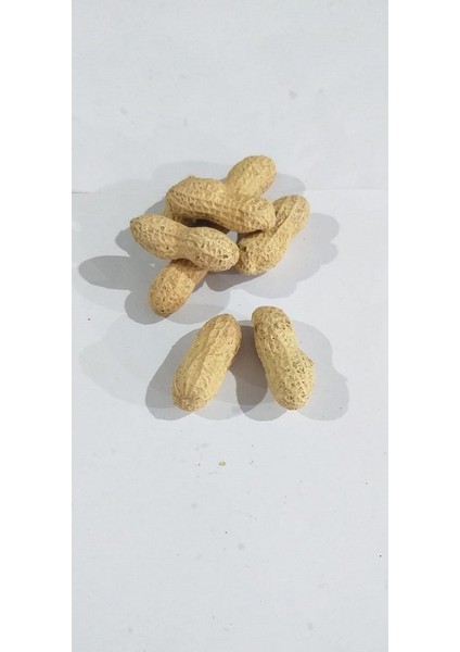 Kabuklu Tuzsuz Fıstık 1 kg fiyatları