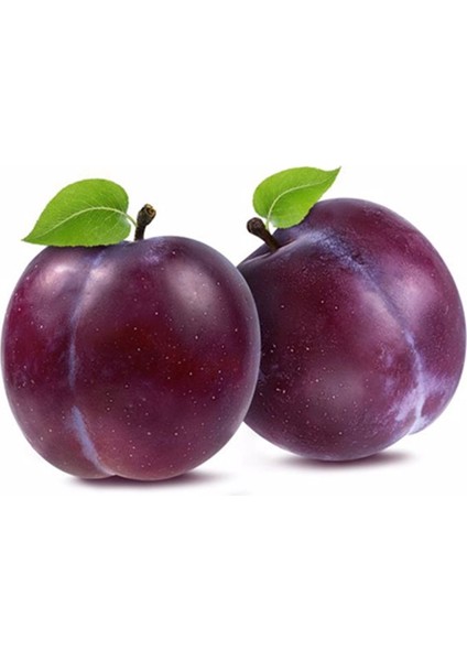 MANAV ERIK ANJELIKA 500 gr