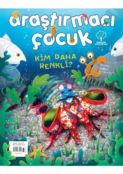 Araştırmacı Çocuk - İndirimli Paket 3