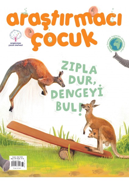 Araştırmacı Çocuk - İndirimli Paket 3