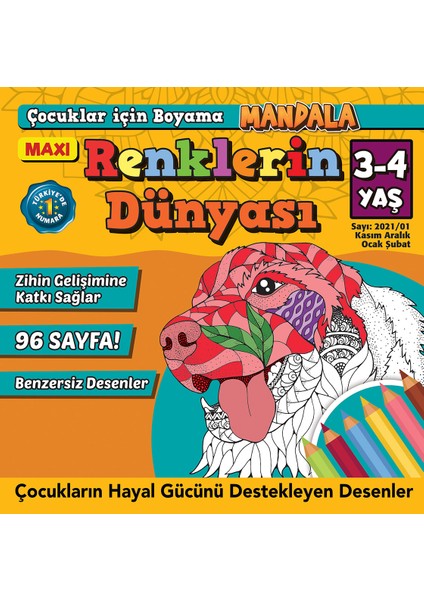 Renklerin Dünyası 2021/01