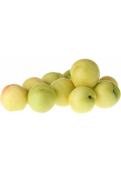 MANAV NEKTARI BEYAZ 500 gr