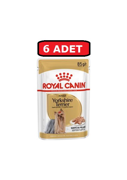 Royal Canın Yorkshire Terrier Yaş Köpek Maması Pouch Pounç 85 gr 6'lı