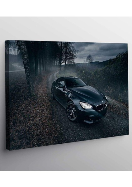 Bmw Araba Kanvas Tablo fiyatları