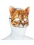 Sarman Kedi Kadife Cosplay Maske 2