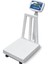 B5 Elektronik Tartım Kantarı 300 kg 50 x 60 cm 1