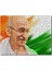 Cakapuzzle Mahatma Gandhi Turuncu Buyaz Yeşil Fon 255 Parça Puzzle Yapboz Mdf (Ahşap) 1