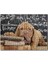 Cakapuzzle Kitapları Dişleyen Kahverengi Sharpy Yavrusu 120 Parça Puzzle Yapboz Mdf (Ahşap) 1