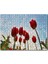 Cakapuzzle Kırmızı Lale Bahçesi Görseli 255 Parça Puzzle Yapboz Mdf (Ahşap) 1