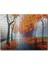 Cakapuzzle Sonbahar Rengi Ağaçlar Sis ve Boş Banklar 120 Parça Puzzle Yapboz Mdf (Ahşap) 1