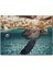 Cakapuzzle Caretta ve Büyük Beyaz Köpekbalığı 120 Parça Puzzle Yapboz Mdf (Ahşap) 1