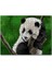 Cakapuzzle Dala Sarılmış Sevimli Panda Dijital Çizim 120 Parça Puzzle Yapboz Mdf (Ahşap) 1