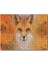 Cakapuzzle Kahverengi Beyaz Tilki ve Arkaplanda Ağaçlar 1000 Parça Puzzle Yapboz Mdf(Ahşap) 1
