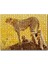 Cakapuzzle Atletik Çita ve Sevimli Yavruları 120 Parça Puzzle Yapboz Mdf (Ahşap) 1