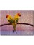 Cakapuzzle Daldaki Sarı Kırmızı Yeşil Sevda Kuşları Flu Deniz 255 Parça Puzzle Yapboz Mdf (Ahşap) 1