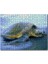 Cakapuzzle Kumsala Çıkan Caretta Caretta 1000 Parça Puzzle Yapboz Mdf(Ahşap) 1