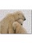 Cakapuzzle Kutup Ayısı ve Sevimli Yavruları Kar Arkaplan 255 Parça Puzzle Yapboz Mdf (Ahşap) 1