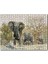 Cakapuzzle Ormandaki Fil Gurubu Görseli 255 Parça Puzzle Yapboz Mdf (Ahşap) 1