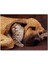 Cakapuzzle Sevimli Sharpy Köpek ve Yavru Kedi 120 Parça Puzzle Yapboz Mdf (Ahşap) 1