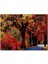Cakapuzzle Ağaçlı Yol ve Sonbahar Yaprakları 255 Parça Puzzle Yapboz Mdf (Ahşap) 1
