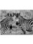 Cakapuzzle Iki Sevimli Zebra Görseli 120 Parça Puzzle Yapboz Mdf (Ahşap) 1