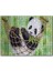 Cakapuzzle Hamakta Dinlenen Panda Dijital Çizim 500 Parça Puzzle Yapboz Mdf (Ahşap) 1
