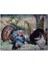 Cakapuzzle Kabaran Iki Hindi 255 Parça Puzzle Yapboz Mdf (Ahşap) 1