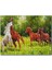 Cakapuzzle Özgür Atlar Ormanda Görseli 255 Parça Puzzle Yapboz Mdf (Ahşap) 1