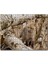 Cakapuzzle Ormanda Ağaçlar Arasındaki Yavru Tilki 120 Parça Puzzle Yapboz Mdf (Ahşap) 1
