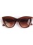 Cat Eye Oval Güneş Gözlüğü (Şeffaf Kahverengi - Kahverengi) 1