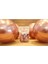 Partipan Pembe Krom Balon (50 Adet) 2
