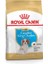 Royal Canın Cavalier King Charles Puppy Junior Yavru Köpek Maması 1,5 kg 1