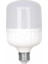 20W LED Torch Ampul 1