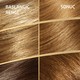Wella Koleston 7.3 Fındık Kabuğu Saç Boyası
