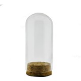 Mutlu Adım Küçük Cam Ters Şişe Fanus Terrarium 3,5 x 8 cm 12'li