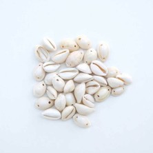 Yiğit Aksesuar 30 Adet Deniz Kabuğu