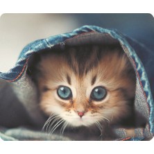 Beauty Life Cat-2 Mouse Pad Sevimli Kedi Resmi Kaymaz Oyun Faresi (Yurt Dışından)