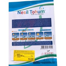 Arzuman Kavun Sarı Kışlık Atalık Tohum 3 Paket