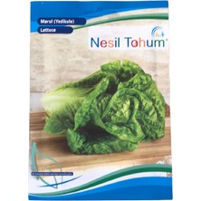 Arzuman Marul(Yedikule) Atalık Tohumu 3 Paket