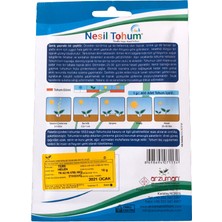 Arzuman Tere Atalık Tohum 3 Paket