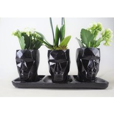 Hasal Flower - Çift Dal Mini Mor Orkide & Beyaz Kalanşo & Siyah Trio Mini Vision Beton Saksıda Canlı Çiçek