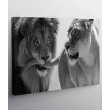Stella Store Aslan Leopar Kanvas Tablo