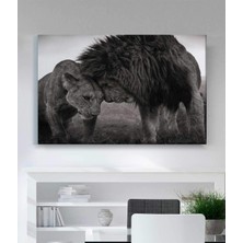 Stella Store Aslan Kanvas Tablo