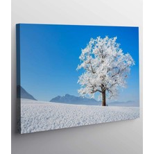 Stella Store Güzel Kar Yalnız Ağaç Kanvas Tablo