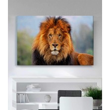 Stella Store Aslan Kanvas Tablo