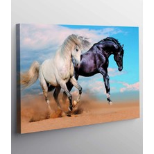 Stella Store Koşan Atlar Kanvas Tablo